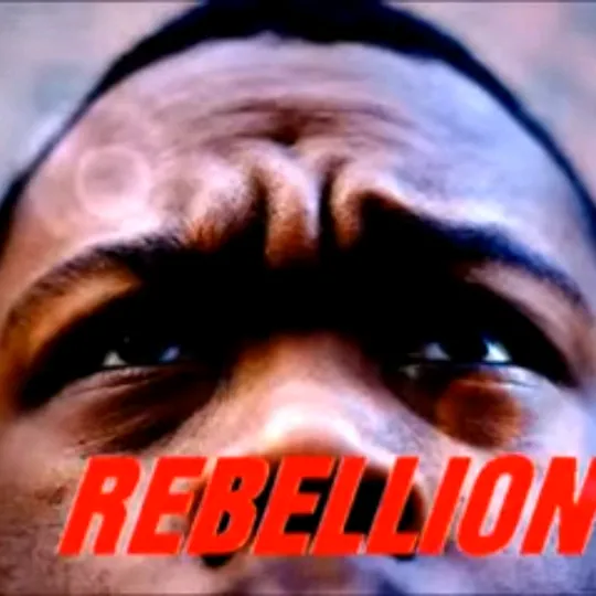 hoborebellion