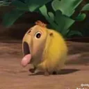 @drewllynn
