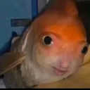 @duenere