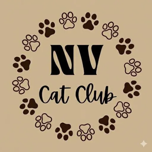 @newvisioncatclub