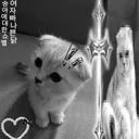 @friendship.forever11.11