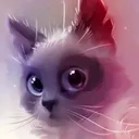 @shelter.cat.house