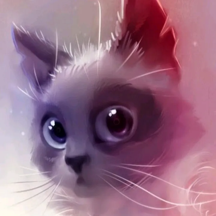 @shelter.cat.house