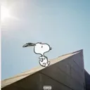 @alyssanotfound_