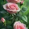 @marianaparedes6475