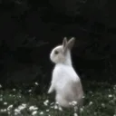 @relateablevid4u