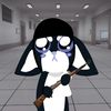 star_paws2763