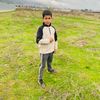 mixlova2