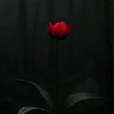 @ruth1203_