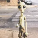 @arii63982