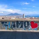 @napoletanodocc1926