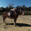 jennychoudhury980