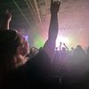 vinylnation13