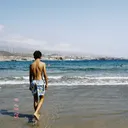 @pedroarbelo__