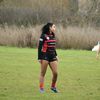 bull_rugby