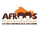 @fundacionafroos