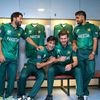 cricket_editor177_