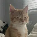 @rankthesongz
