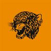 hullcity