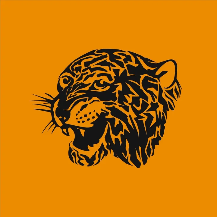 @hullcity
