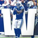 @theindyanimal