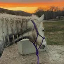 @emma.pelkey7