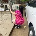 @joslynspurgeon519
