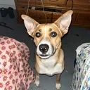 @realmomeymaker_spam_00