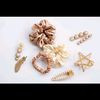 zarnishcollection6