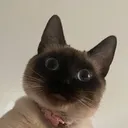 @aguazul_films