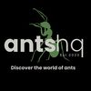 antshq