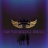 vmd_performance_horses