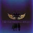 @vmd_performance_horses