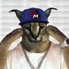 swagmodeofficial