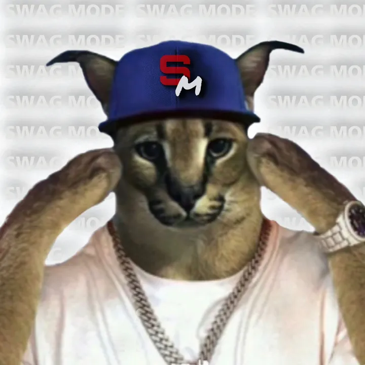 swagmodeofficial