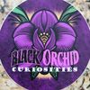 blackorchidcuriosities