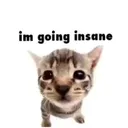 @kingofallesthe2nd2465