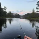 @theminnesotaanglers