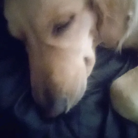 @teagen.jones3