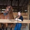 horseshowtherapist