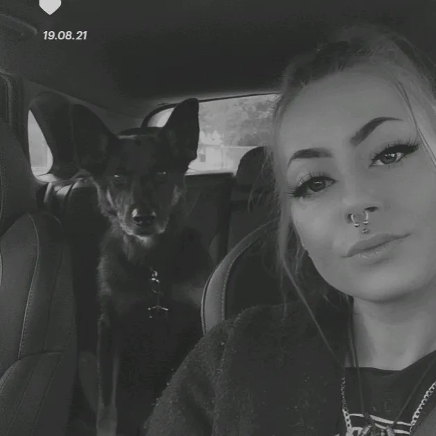 melody_of_dogs