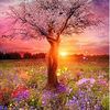 calmspirits1