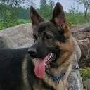 @reeconsardog