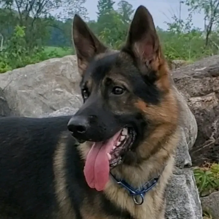 @reeconsardog