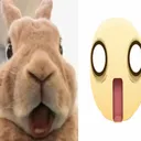 @.bunnies83