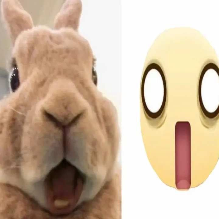 .bunnies83