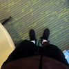 mj2wild