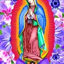 @chamaquitatoktok.com