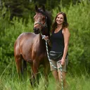 @deinpferd.com