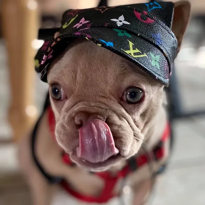 peanut.the.french